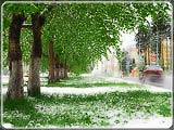 Не знаю, бывает ли в других городах такое.. но в Нерюнгри это в порядке вещей, когда летом неожиданно может снега выпасть чуть ли не по колено так, что деревья прогибаются под снегом. Правда, ненадолго. Максимум на сутки, иногда и меньше. Через день уже ничего не напоминает о вчерашнем снеге. Но впечатлений - масса :)
Рейтинг: 5
Показов: 47654
Добавлена: 2007-06-11
Размер: 127 Kb